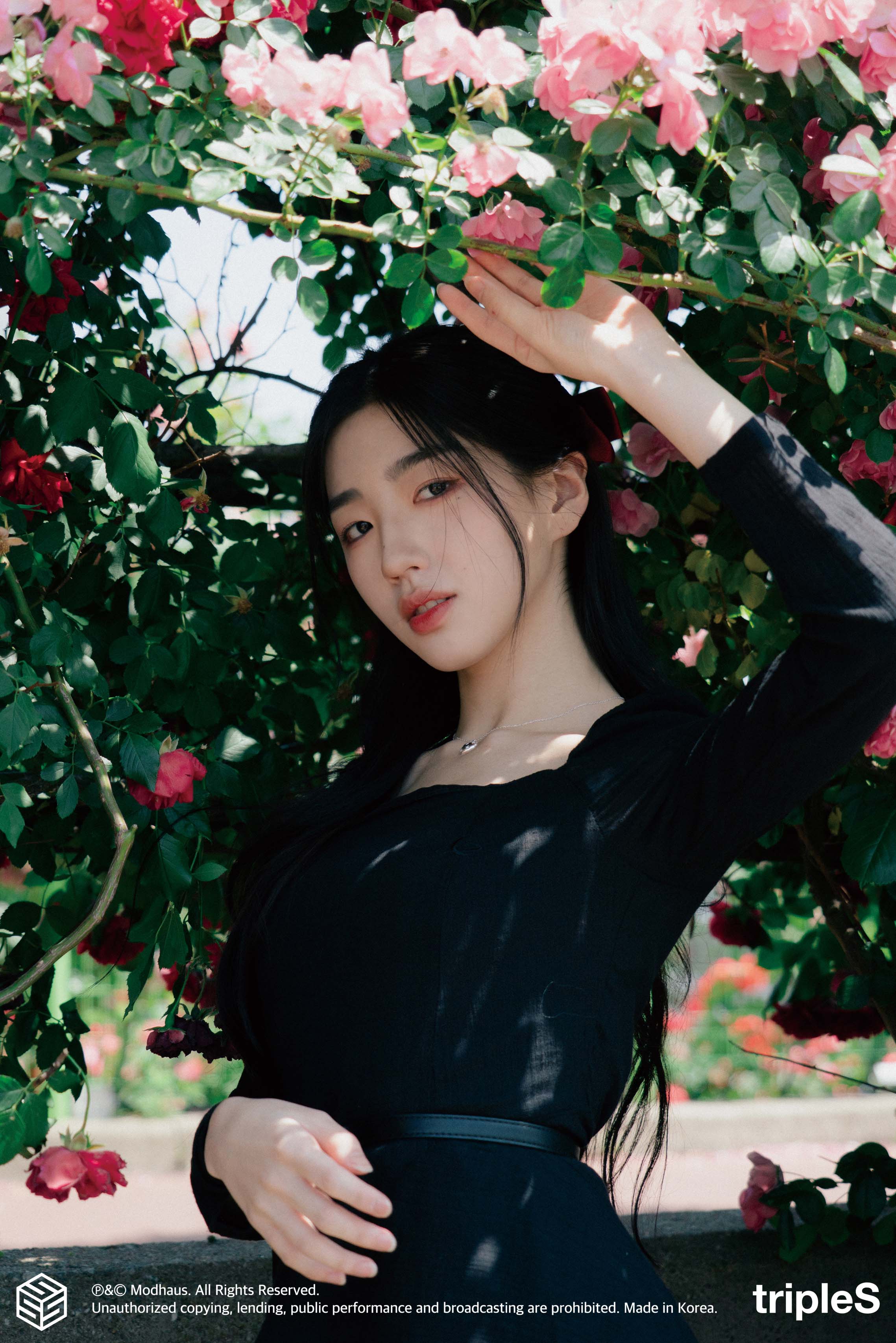 [tripleS] 똑똑똑! WAV! 봄이 오고 있나봐요! 소현의 장미 스냅사진