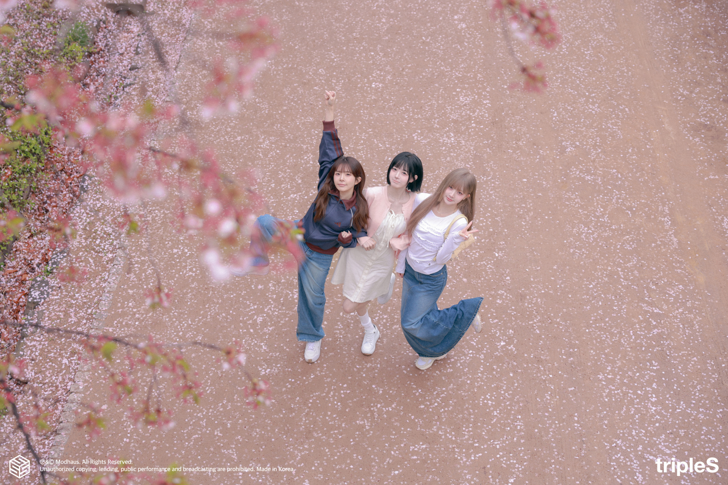 [tripleS] 봄, 벚꽃 그리고 코토네, 연지, 채원&nbsp; 핑크빛 벚꽃 스냅