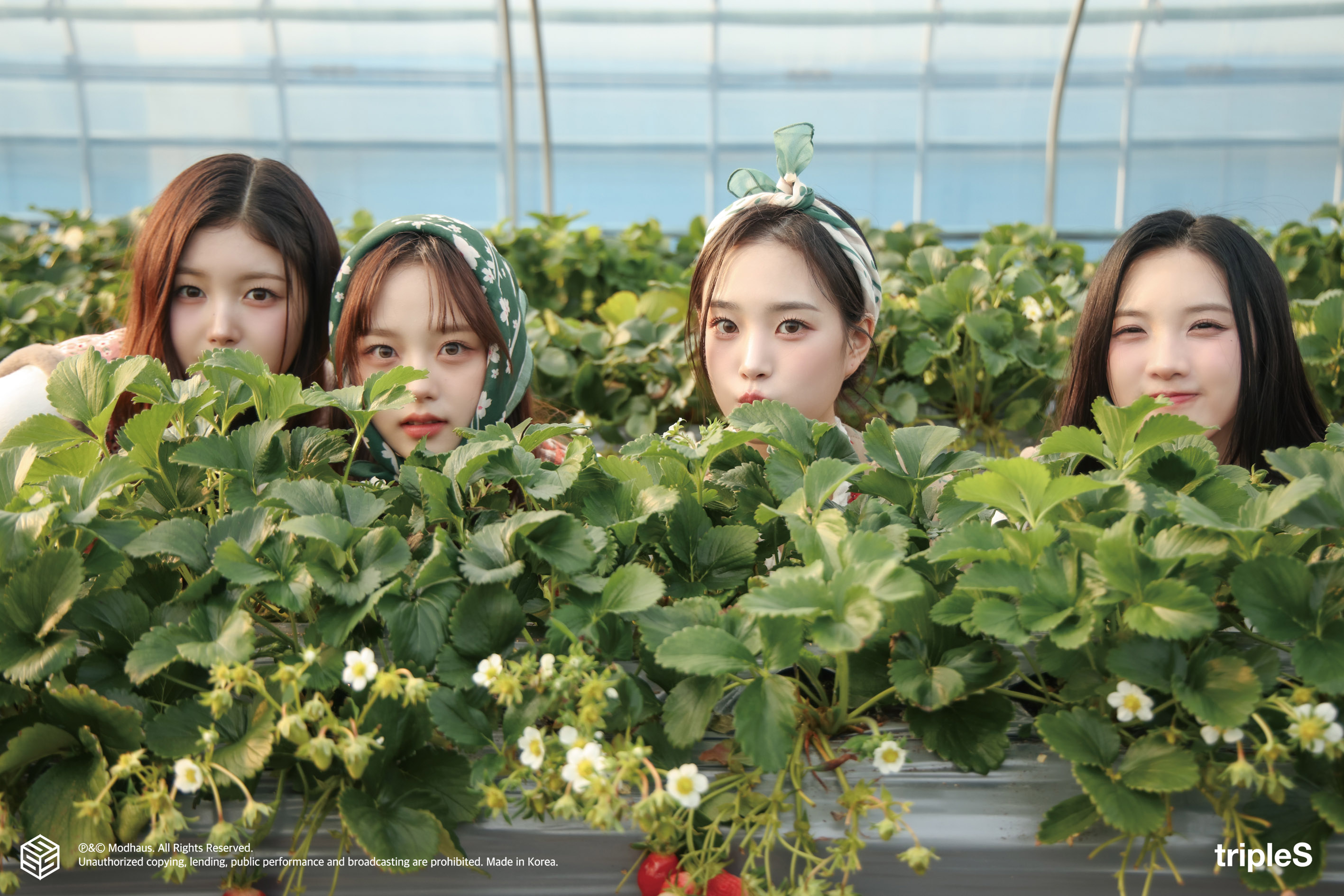 [tripleS] NXT & Glow 봄방학 <할머니의 편지> 2화 비하인드